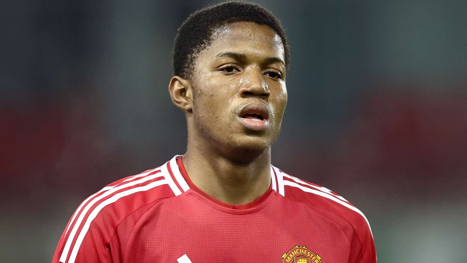 球队的整体 球队的整体