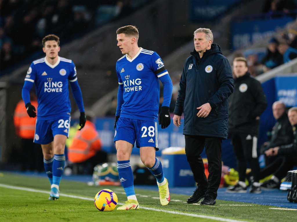 许多平台提 许多平台提